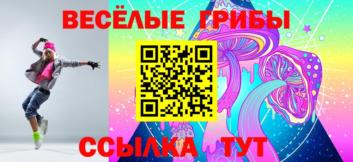 Галлюциногенные грибы MAGIC MUSHROOMS  Вход с VPN  Галлюциногенные грибы ЛСД  Копейск 