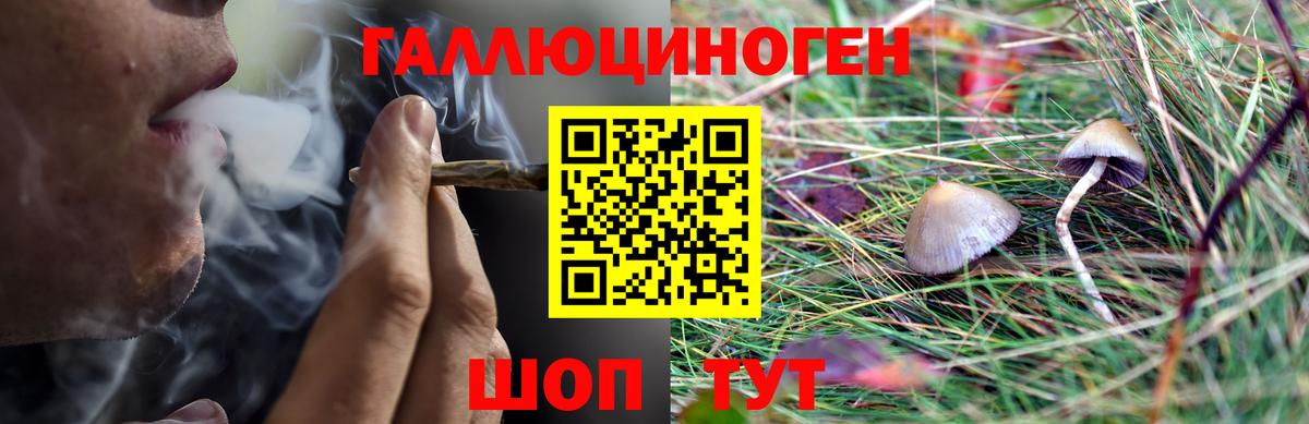Галлюциногенные грибы ЛСД Копейск